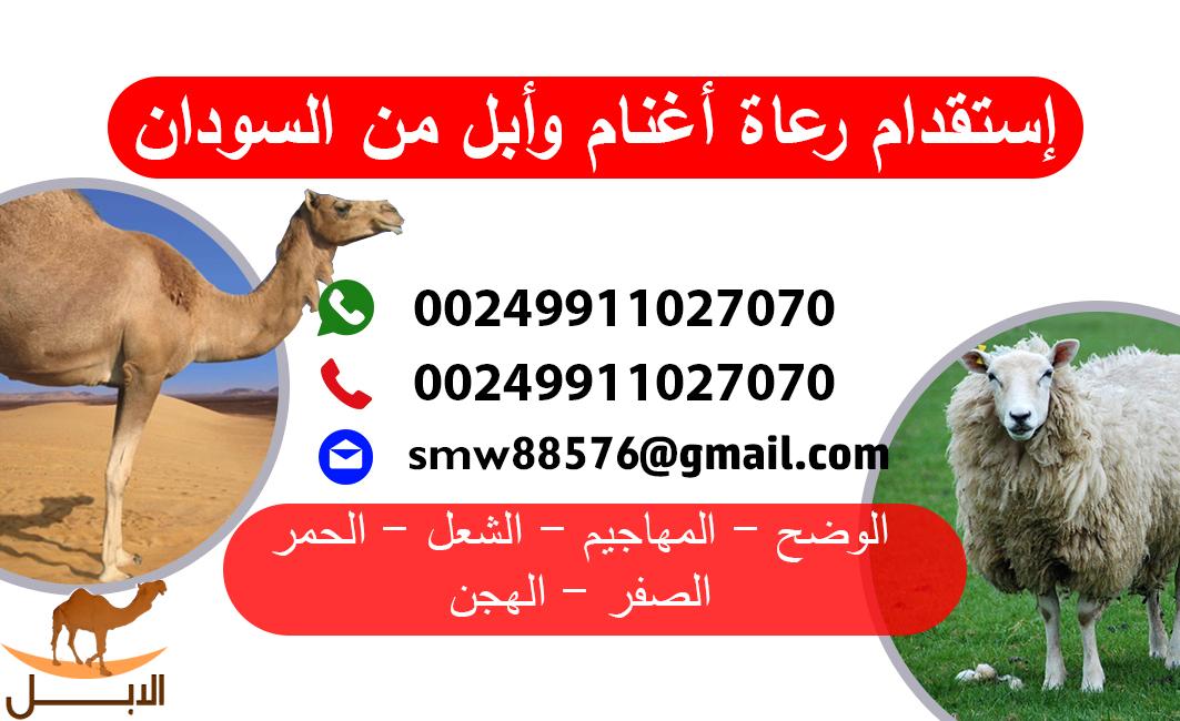 استقدام من السودان ( جميع العماله المهنيه والعماليه )